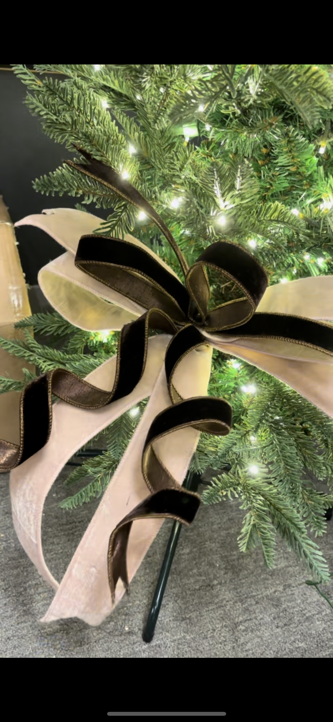 ESPRESSO BOW - Bowtie Bow